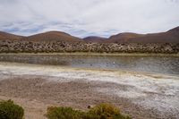 
DSC00261
